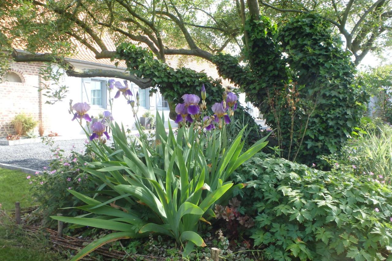 Au Reve En Somme Bed and Breakfast Hautvillers-Ouville Εξωτερικό φωτογραφία